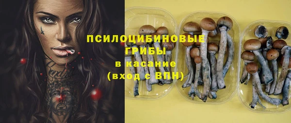 спиды Новокубанск
