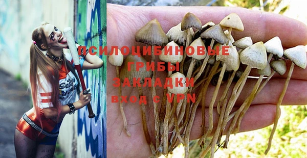 кокаин колумбия Новозыбков